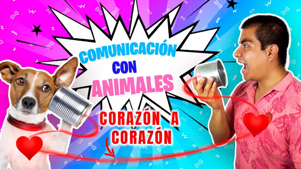 comunicación con animales