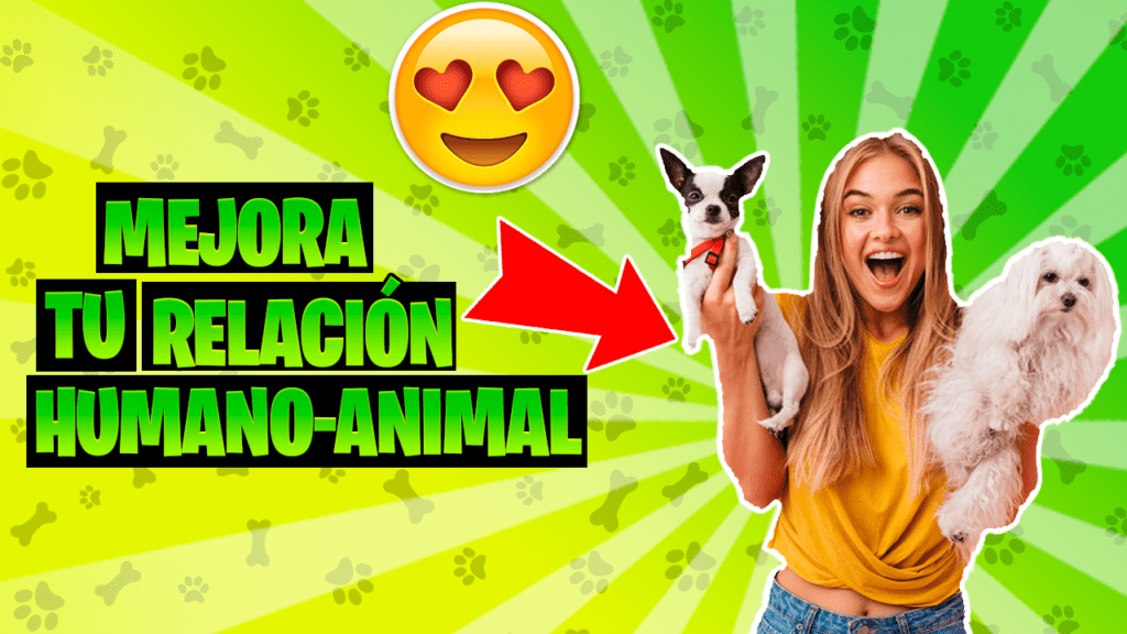 ¿Qué beneficios tiene la comunicación con animales?